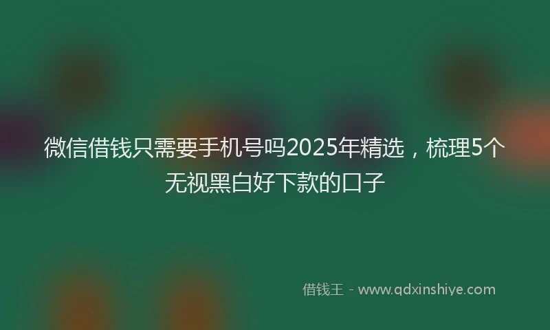 微信借钱只需要手机号吗2025年精选，梳理5个无视黑白好下款的口子