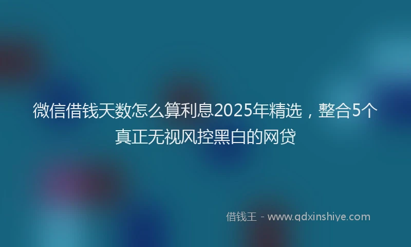 微信借钱天数怎么算利息2025年精选，整合5个真正无视风控黑白的网贷