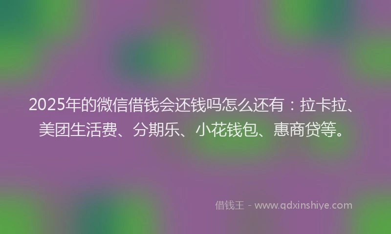 2025年的微信借钱会还钱吗怎么还有：拉卡拉、美团生活费、分期乐、小花钱包、惠商贷等。