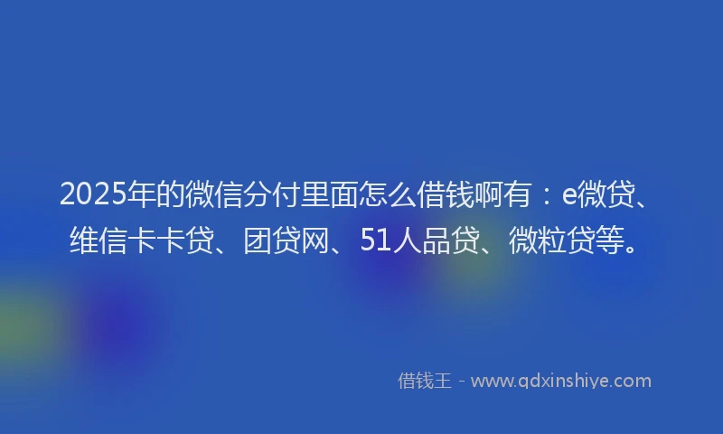 2025年的微信分付里面怎么借钱啊有：e微贷、维信卡卡贷、团贷网、51人品贷、微粒贷等。