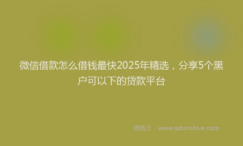 微信借款怎么借钱最快2025年精选，分享5个黑户可以下的贷款平台