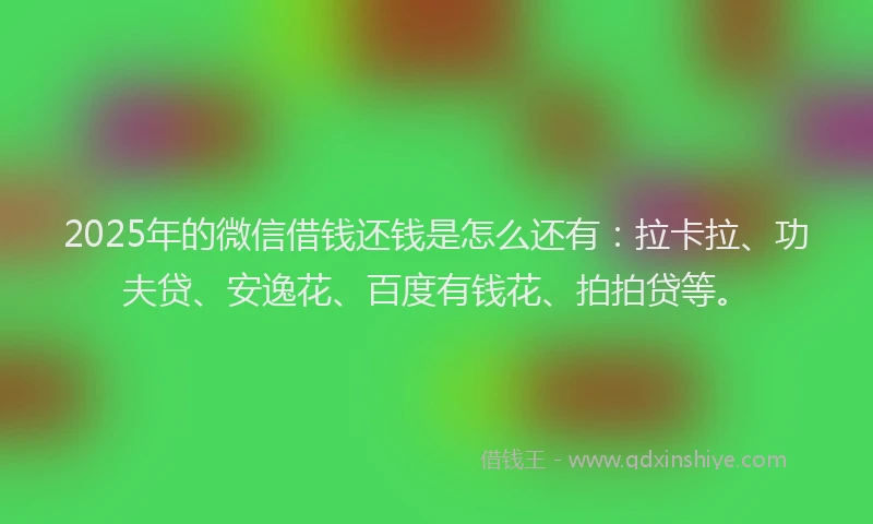 2025年的微信借钱还钱是怎么还有：拉卡拉、功夫贷、安逸花、百度有钱花、拍拍贷等。