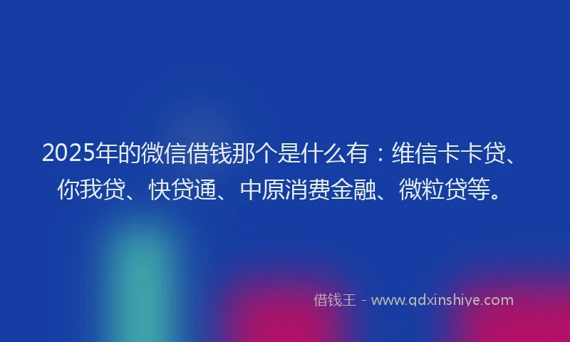 2025年的微信借钱那个是什么有：维信卡卡贷、你我贷、快贷通、中原消费金融、微粒贷等。