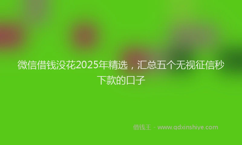 微信借钱没花2025年精选，汇总五个无视征信秒下款的口子