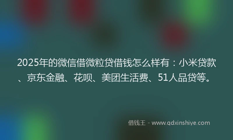 2025年的微信借微粒贷借钱怎么样有：小米贷款、京东金融、花呗、美团生活费、51人品贷等。