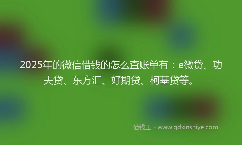 2025年的微信借钱的怎么查账单有：e微贷、功夫贷、东方汇、好期贷、柯基贷等。
