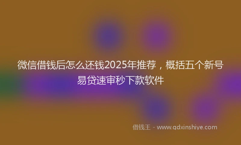 微信借钱后怎么还钱2025年推荐，概括五个新号易贷速审秒下款软件
