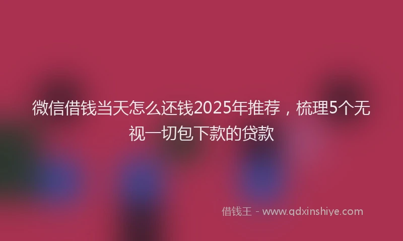 微信借钱当天怎么还钱2025年推荐，梳理5个无视一切包下款的贷款