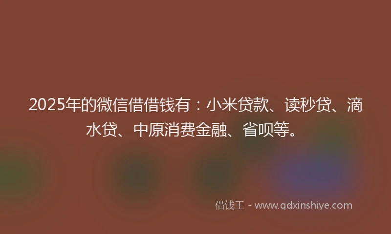 2025年的微信借借钱有：小米贷款、读秒贷、滴水贷、中原消费金融、省呗等。