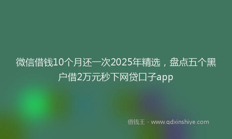 微信借钱10个月还一次2025年精选，盘点五个黑户借2万元秒下网贷口子app