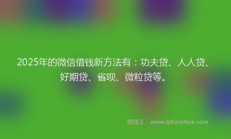2025年的微信借钱新方法有：功夫贷、人人贷、好期贷、省呗、微粒贷等。