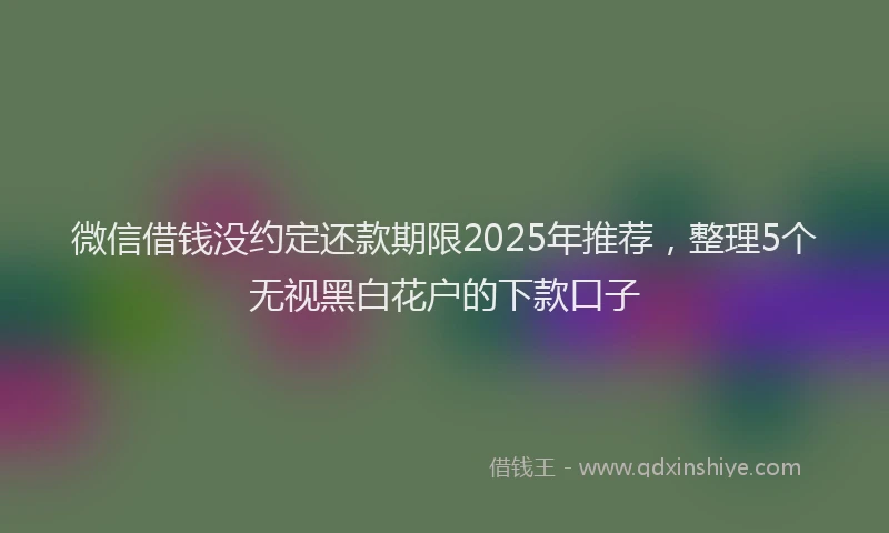 微信借钱没约定还款期限2025年推荐，整理5个无视黑白花户的下款口子