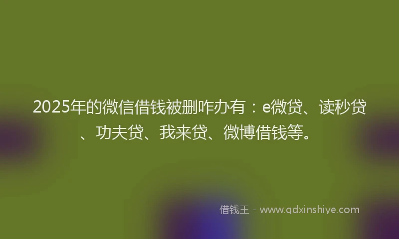 2025年的微信借钱被删咋办有：e微贷、读秒贷、功夫贷、我来贷、微博借钱等。