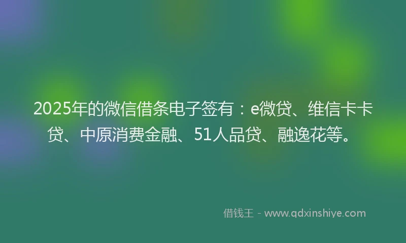2025年的微信借条电子签有：e微贷、维信卡卡贷、中原消费金融、51人品贷、融逸花等。