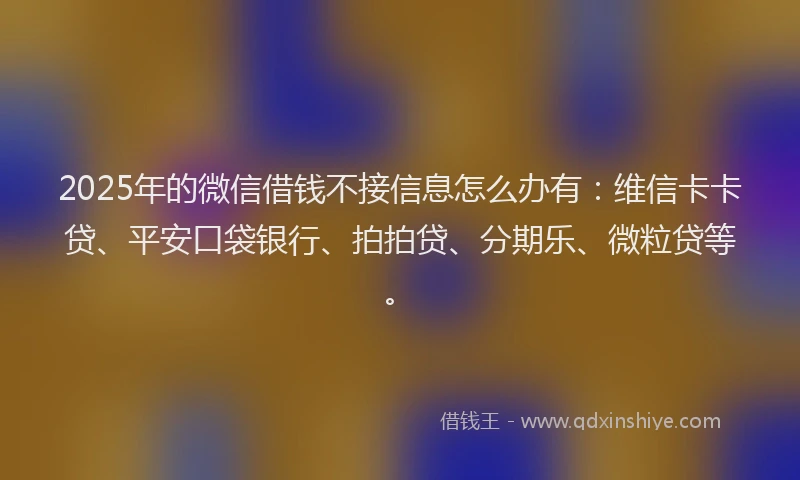 2025年的微信借钱不接信息怎么办有：维信卡卡贷、平安口袋银行、拍拍贷、分期乐、微粒贷等。