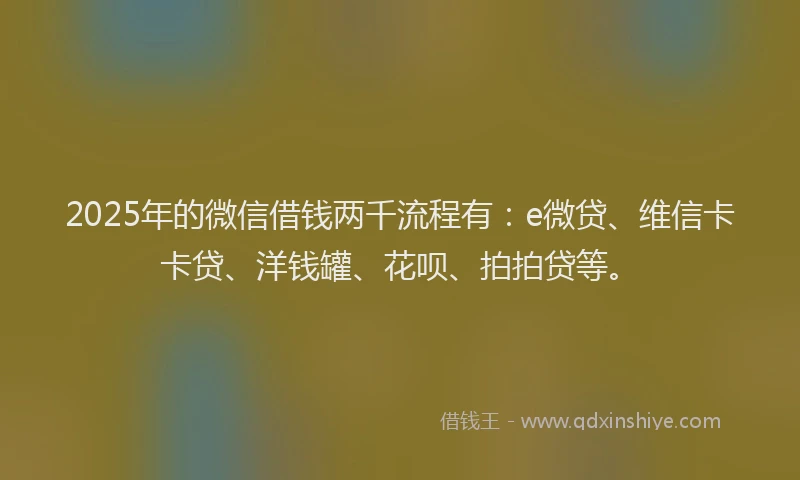 2025年的微信借钱两千流程有：e微贷、维信卡卡贷、洋钱罐、花呗、拍拍贷等。