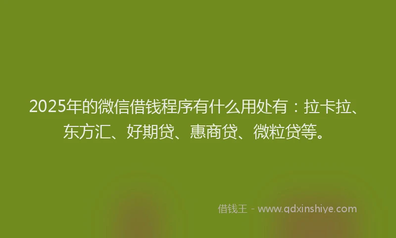 2025年的微信借钱程序有什么用处有：拉卡拉、东方汇、好期贷、惠商贷、微粒贷等。