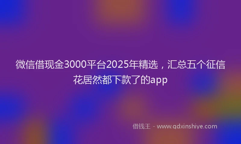 微信借现金3000平台2025年精选，汇总五个征信花居然都下款了的app