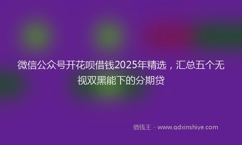 微信公众号开花呗借钱2025年精选，汇总五个无视双黑能下的分期贷