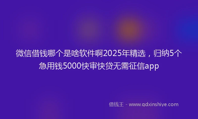 微信借钱哪个是啥软件啊2025年精选，归纳5个急用钱5000快审快贷无需征信app