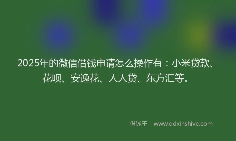 2025年的微信借钱申请怎么操作有：小米贷款、花呗、安逸花、人人贷、东方汇等。