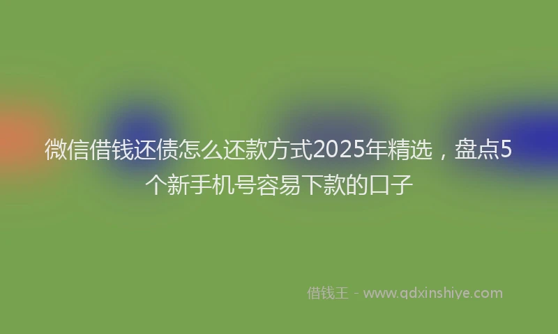 微信借钱还债怎么还款方式2025年精选，盘点5个新手机号容易下款的口子