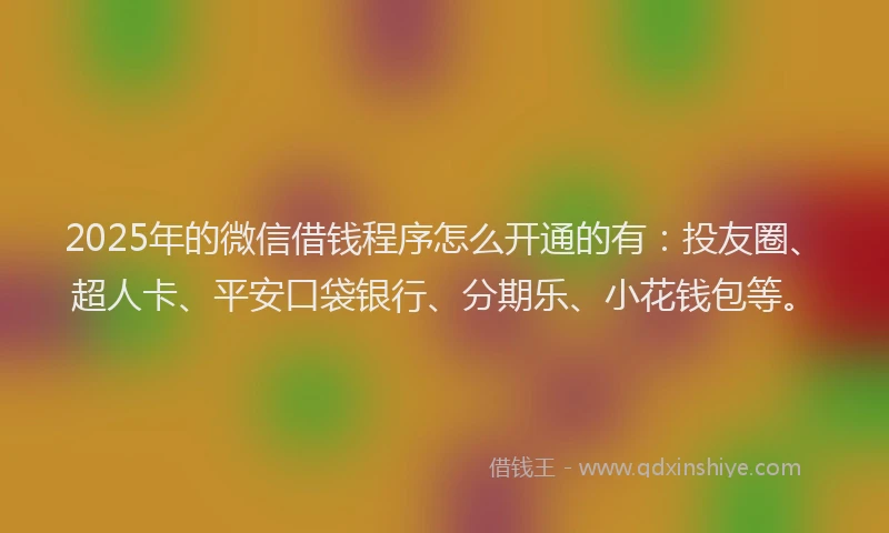 2025年的微信借钱程序怎么开通的有：投友圈、超人卡、平安口袋银行、分期乐、小花钱包等。