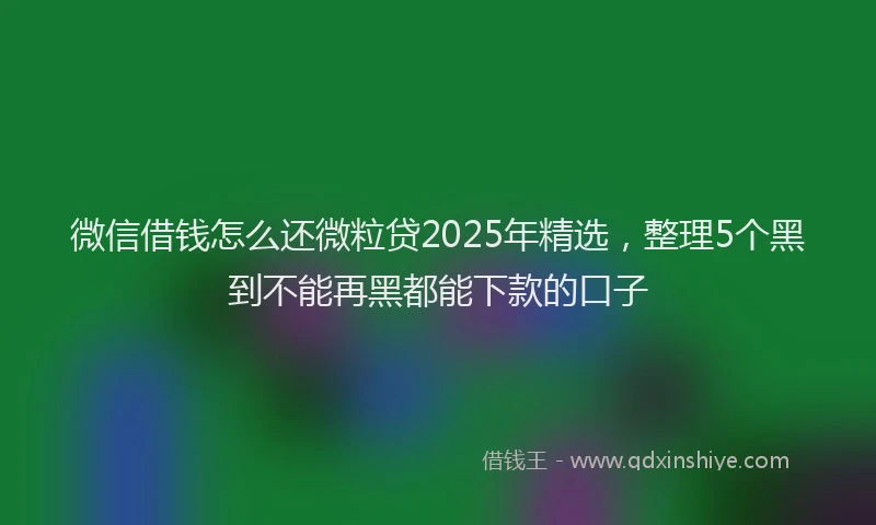 微信借钱怎么还微粒贷2025年精选，整理5个黑到不能再黑都能下款的口子