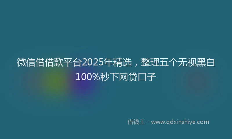 微信借借款平台2025年精选，整理五个无视黑白100%秒下网贷口子