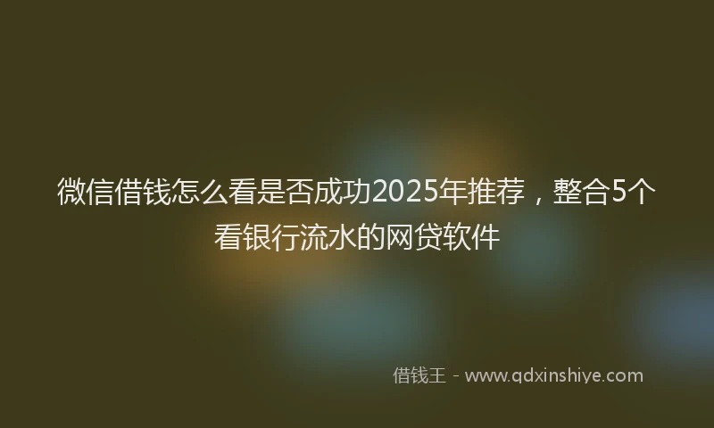 微信借钱怎么看是否成功2025年推荐，整合5个看银行流水的网贷软件