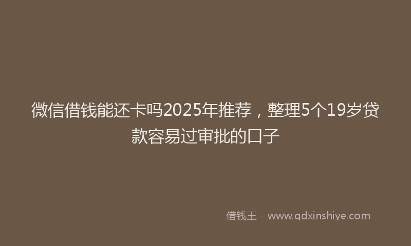 微信借钱能还卡吗2025年推荐，整理5个19岁贷款容易过审批的口子