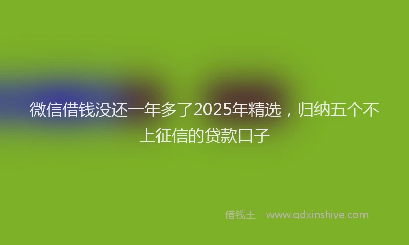 微信借钱没还一年多了2025年精选，归纳五个不上征信的贷款口子