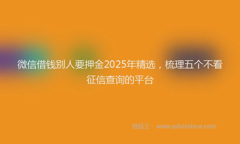微信借钱别人要押金2025年精选，梳理五个不看征信查询的平台