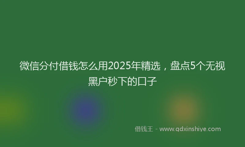 微信分付借钱怎么用2025年精选，盘点5个无视黑户秒下的口子