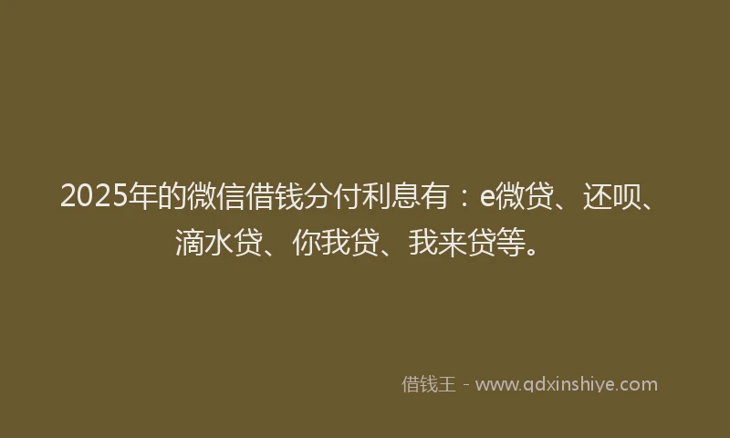 2025年的微信借钱分付利息有：e微贷、还呗、滴水贷、你我贷、我来贷等。