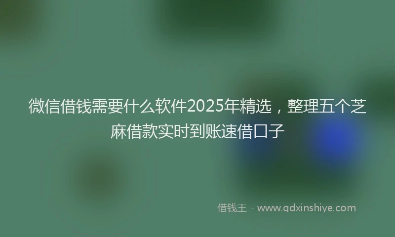 微信借钱需要什么软件2025年精选，整理五个芝麻借款实时到账速借口子