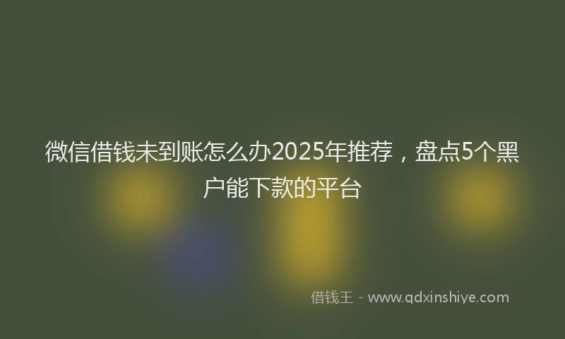 微信借钱未到账怎么办2025年推荐，盘点5个黑户能下款的平台