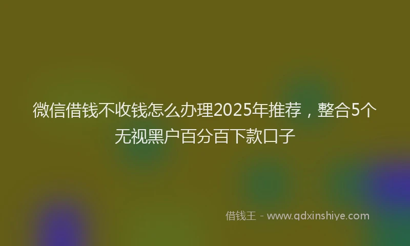 微信借钱不收钱怎么办理2025年推荐，整合5个无视黑户百分百下款口子