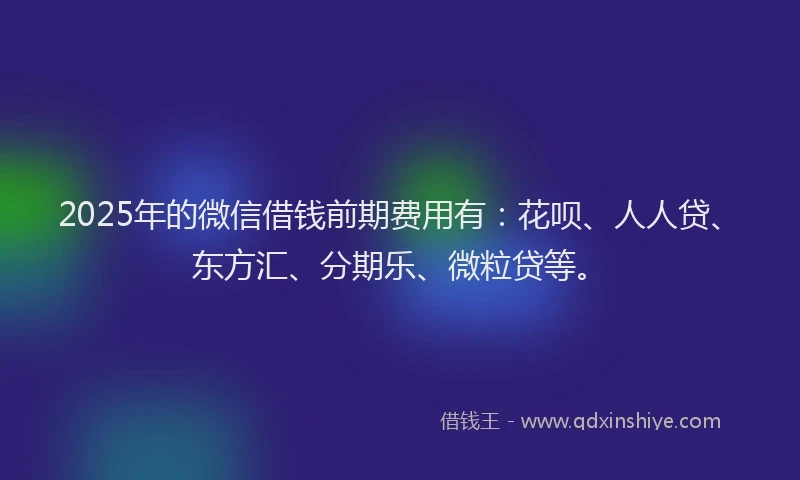 2025年的微信借钱前期费用有：花呗、人人贷、东方汇、分期乐、微粒贷等。