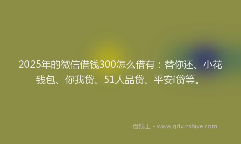 2025年的微信借钱300怎么借有：替你还、小花钱包、你我贷、51人品贷、平安i贷等。