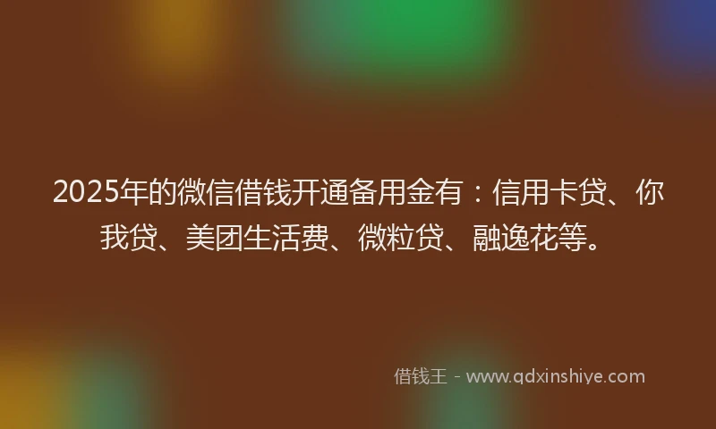 2025年的微信借钱开通备用金有：信用卡贷、你我贷、美团生活费、微粒贷、融逸花等。