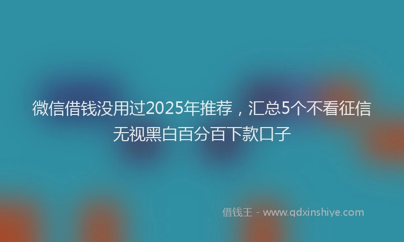 微信借钱没用过2025年推荐，汇总5个不看征信无视黑白百分百下款口子