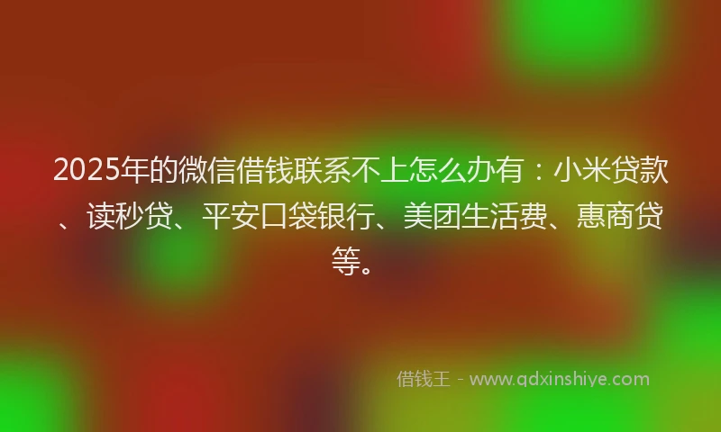 2025年的微信借钱联系不上怎么办有：小米贷款、读秒贷、平安口袋银行、美团生活费、惠商贷等。