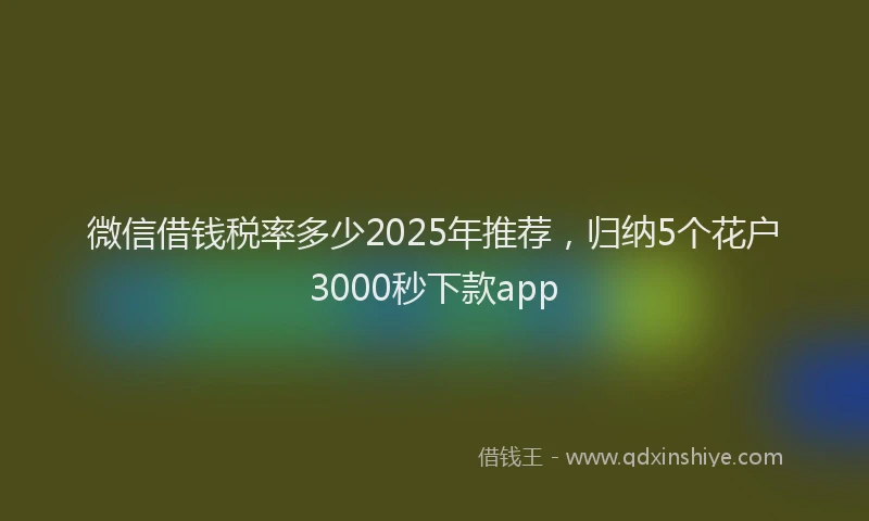 微信借钱税率多少2025年推荐，归纳5个花户3000秒下款app