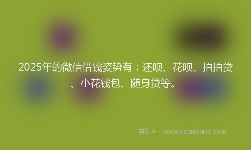 2025年的微信借钱姿势有：还呗、花呗、拍拍贷、小花钱包、随身贷等。