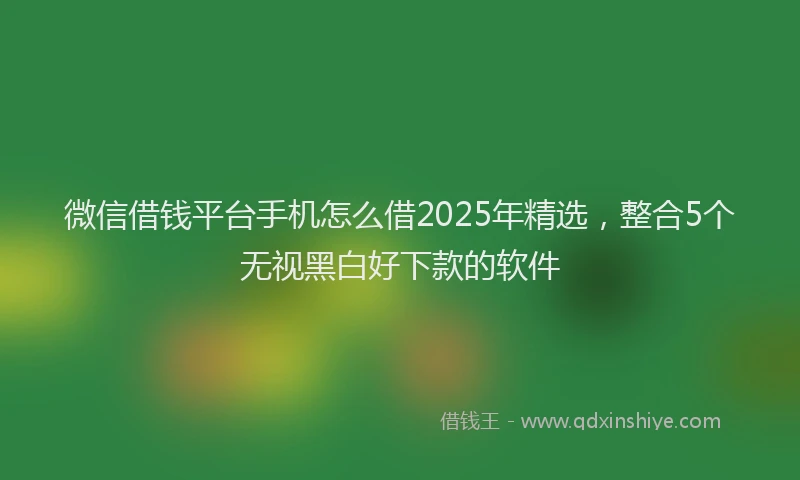 微信借钱平台手机怎么借2025年精选，整合5个无视黑白好下款的软件