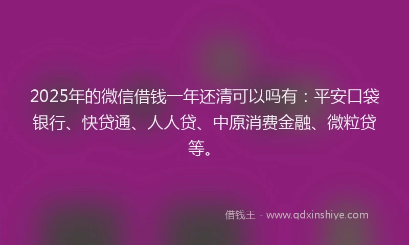 2025年的微信借钱一年还清可以吗有：平安口袋银行、快贷通、人人贷、中原消费金融、微粒贷等。