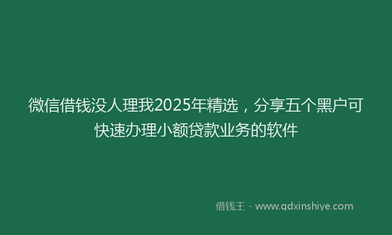 微信借钱没人理我2025年精选，分享五个黑户可快速办理小额贷款业务的软件