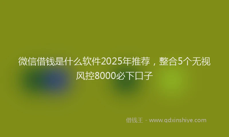 微信借钱是什么软件2025年推荐，整合5个无视风控8000必下口子
