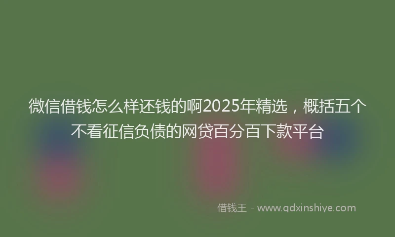 微信借钱怎么样还钱的啊2025年精选，概括五个不看征信负债的网贷百分百下款平台